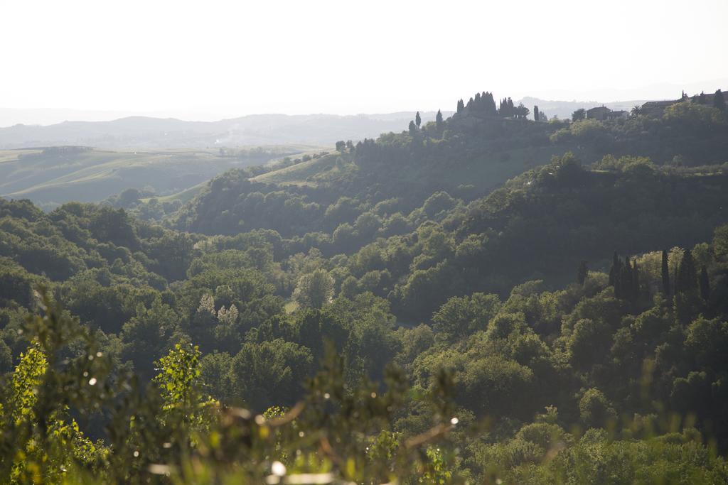 Casa Sandro A Podere Pascianella Βίλα Castelmuzio Εξωτερικό φωτογραφία